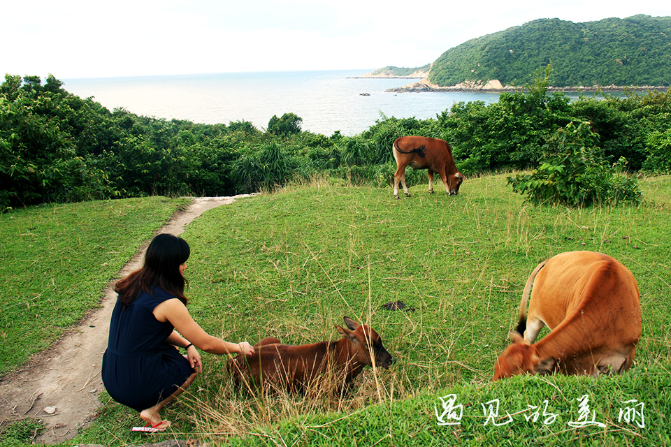 若能驾车上岛，上下川岛将成为广东最有竞争力的海岛？附游记攻略