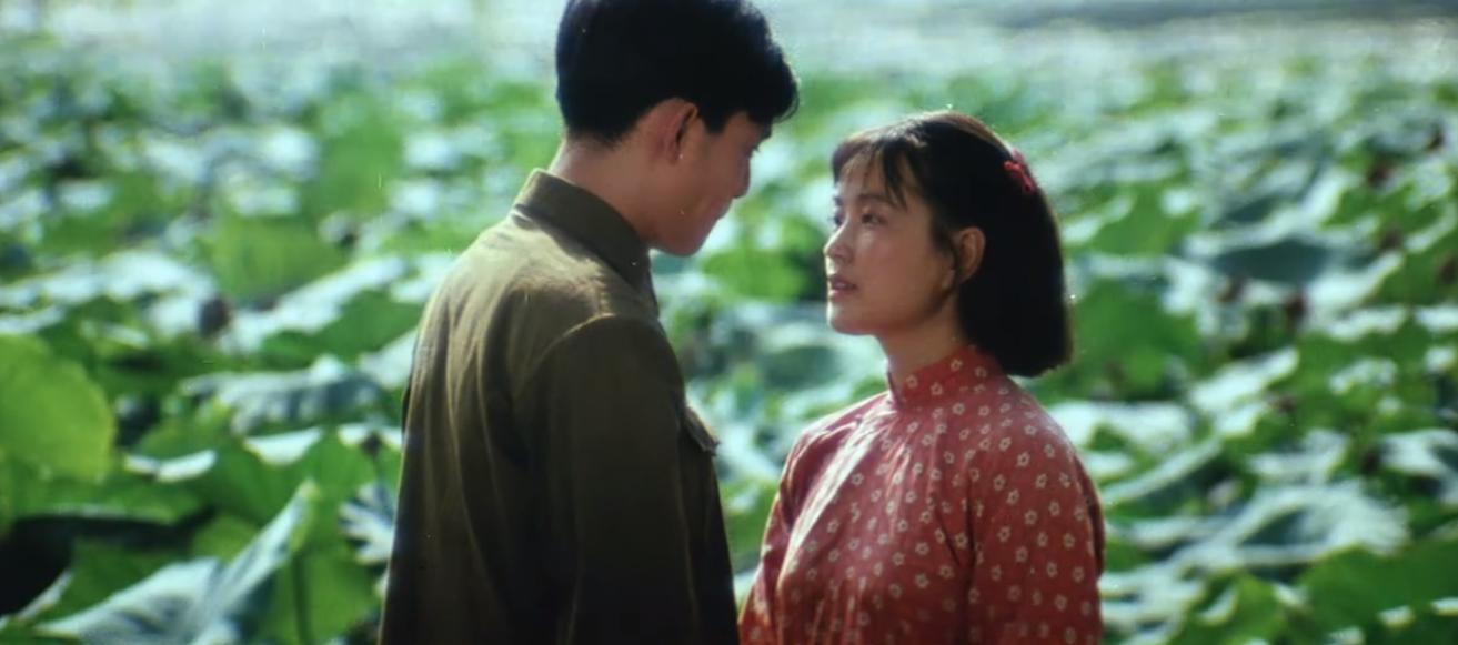 谢晋一生的苦难,80年代谢晋