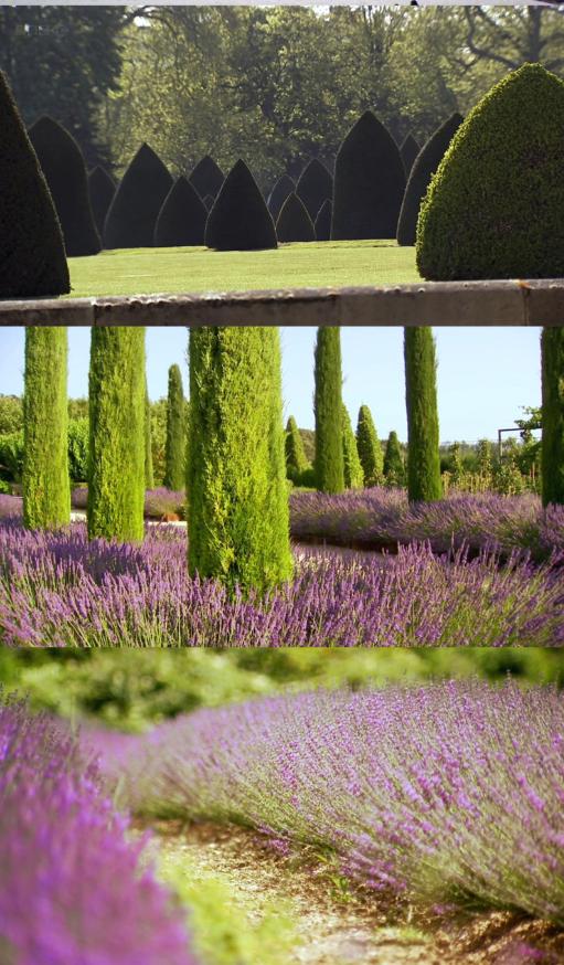 他经历破产、抑郁，却被植物治愈，成为BBC王牌节目主持人