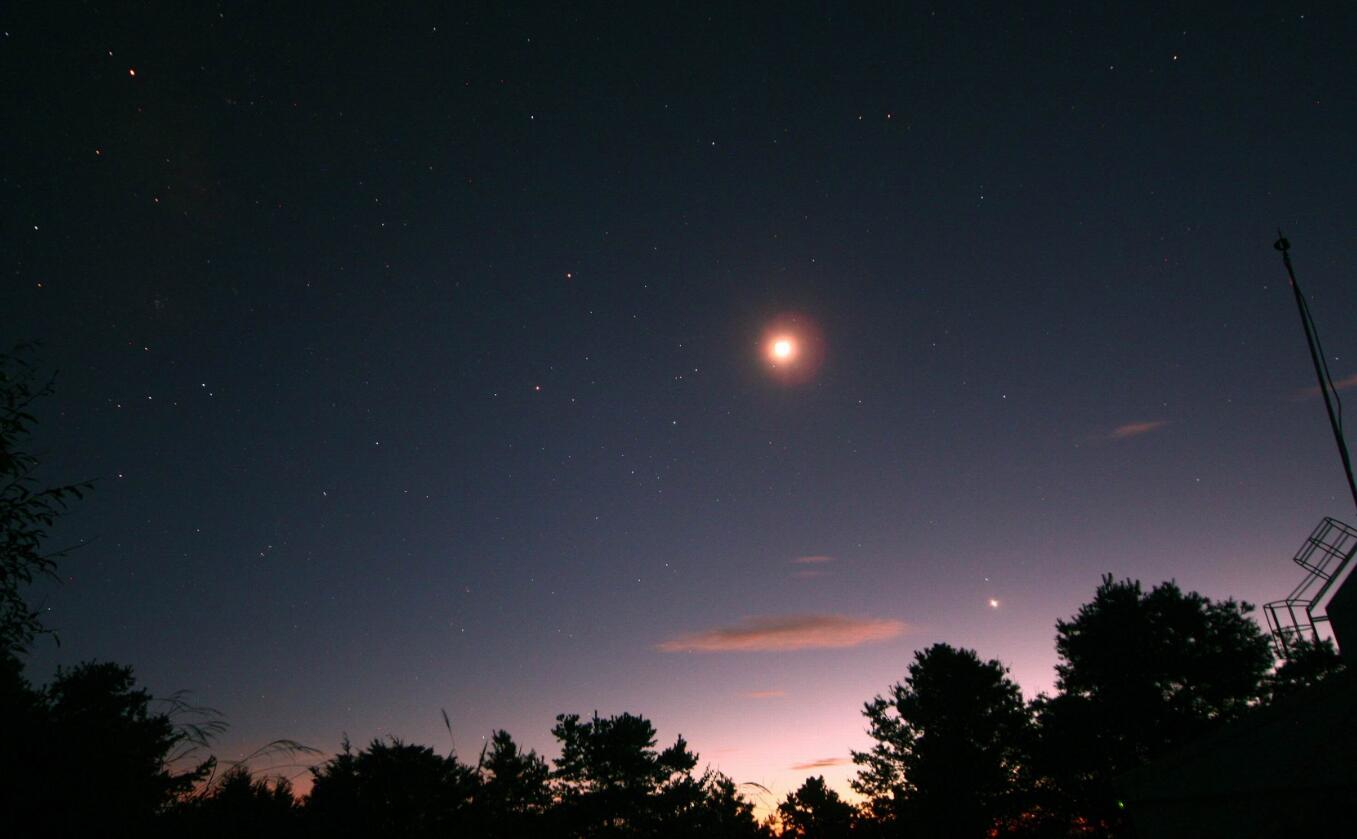 人类假设的外星人是什么样子的,外星人到底是科幻还是伪科学