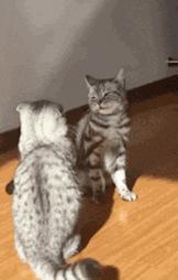 35岁经常运动容易生孩子吗,锻炼身体再怀孕会不会好一些