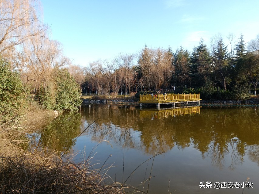 西安哪里有免费的体育运动场地,西安超级运动公园