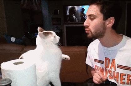 被猫咪调戏怎么办,猫咪被阿姨骚扰