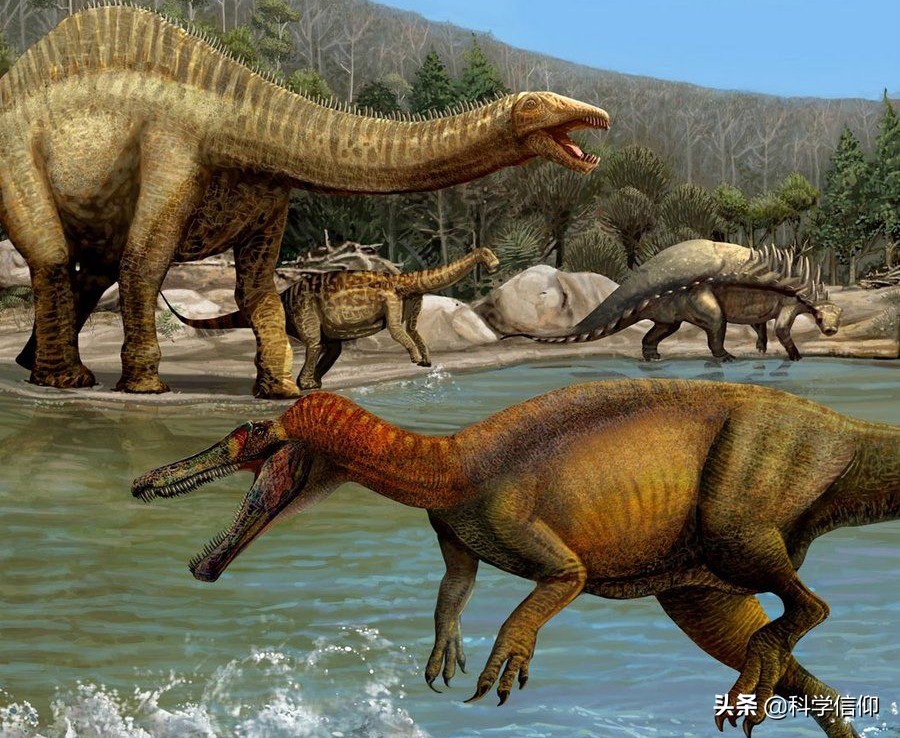 恐龙那么大为什么不是哺乳动物,恐龙为啥这么巨大而人类却这么小