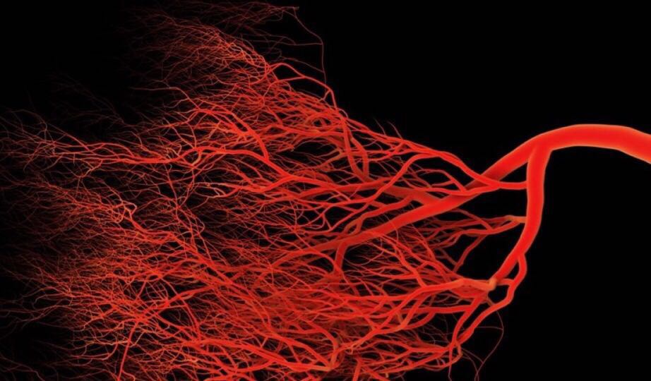 人能活多久由什么决定,人能活多久时间表