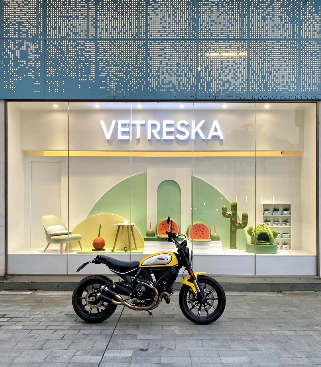 欢迎同行入内,这是一家为宠物店而开的宠物