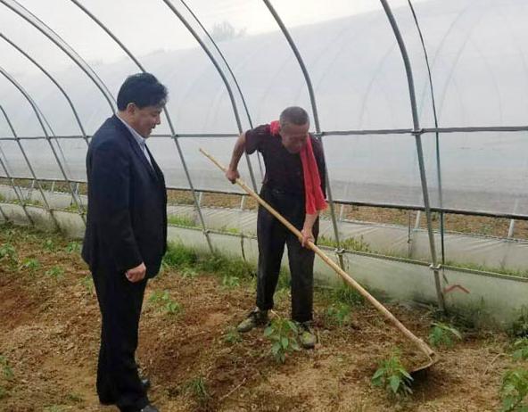 舒城：“苏方明这一轮蔬菜长势怎样”，牵动县领导赵强的心