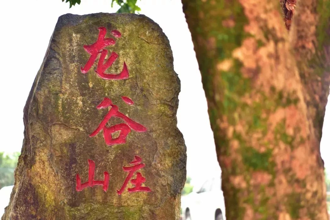 璇楁剰鍘﹂棬,璇楁剰鍘﹂棬浜烘枃闆嗙編