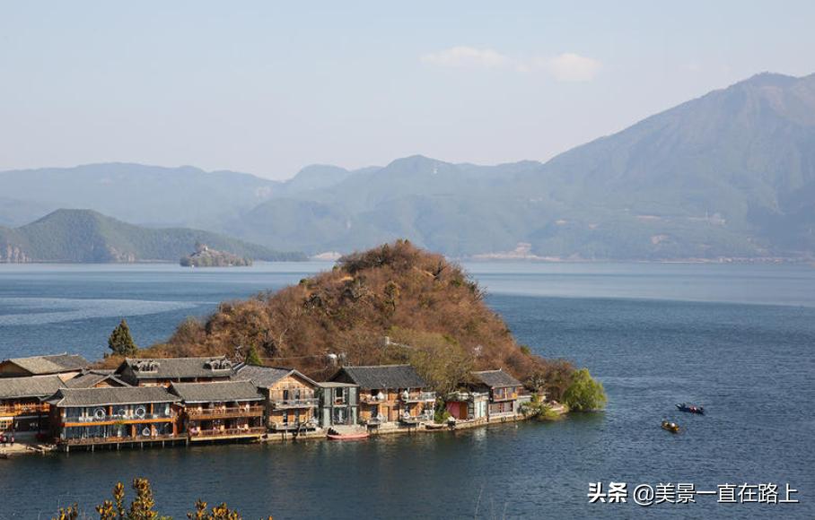 西伯利亚海鸥回到泸沽湖,西伯利亚海鸥泸沽湖
