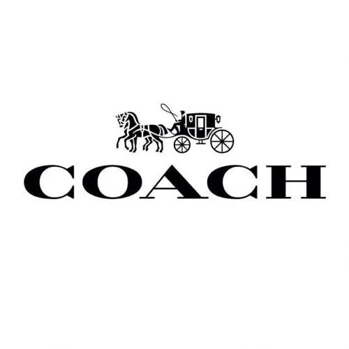 非诚勿扰成功牵手后送手表 (非诚勿扰牵手成功送名牌包包)