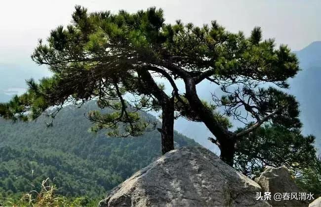 李剑诗,利剑古诗词