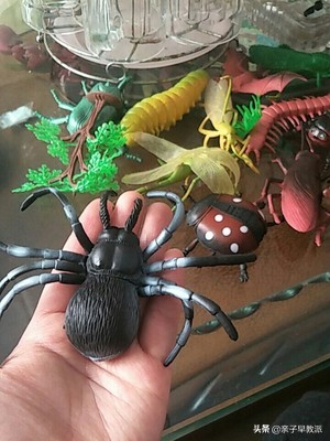 孩子害怕昆虫怎么办,如何解决孩子对虫子害怕