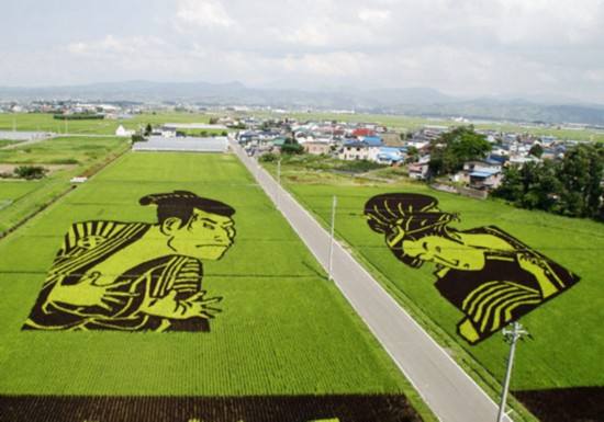 大米能中毒吗,大米食物中毒的表现有哪些