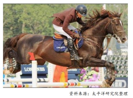 体育行业报告,体育赛马项目介绍