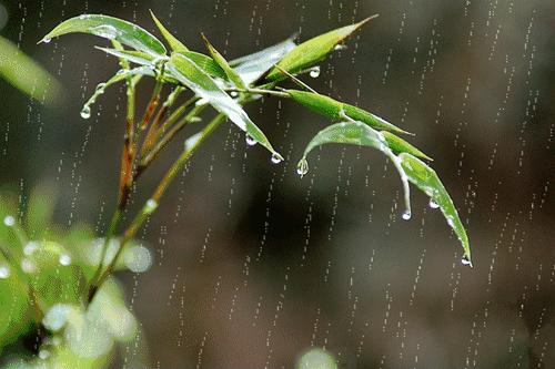 天空上下着绵绵细雨,天空淅淅沥沥地下着小雨