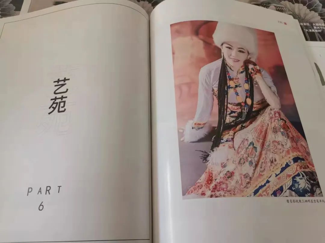 魅力中国中外歌唱家演唱会,魅力中国央视主持人