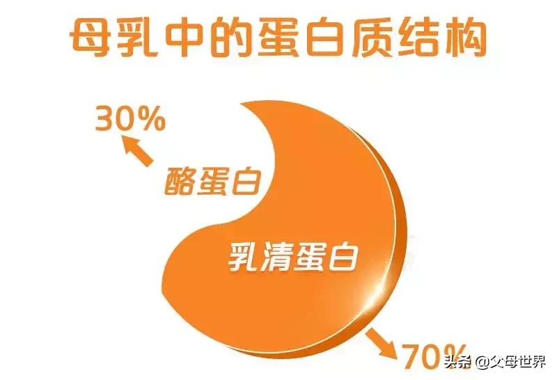 鎺㈢濂剁矇,鎺㈢浼婂埄鐗涘ザ