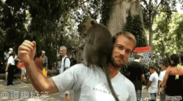 有时候“沙雕”好像不分是人还是其他生物！