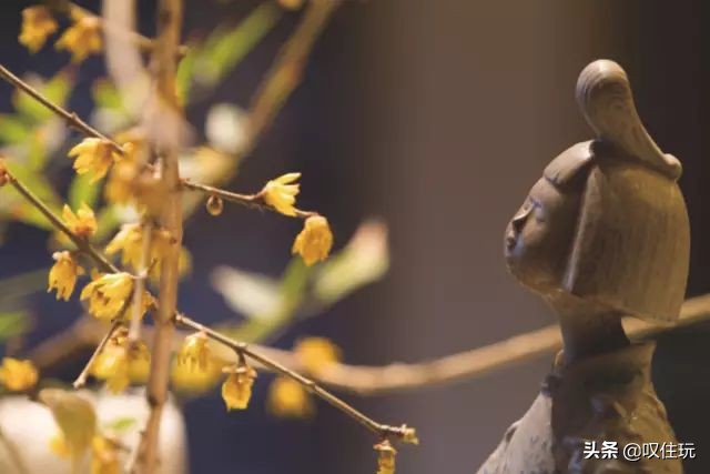 西安杨贵妃同款泡池酒店,杨贵妃西安温泉