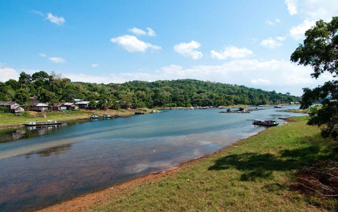 印尼加里曼丹红龙价格,加里曼丹红龙与大湖红龙