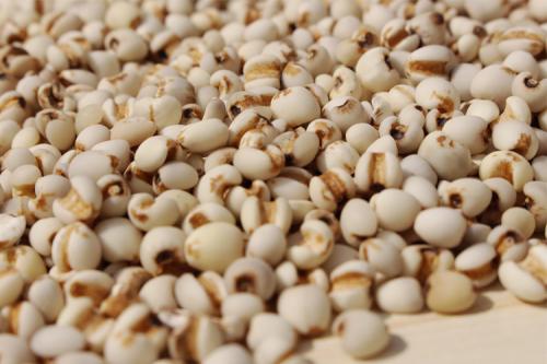 杂粮水分怎么测,谷物水分检测方法