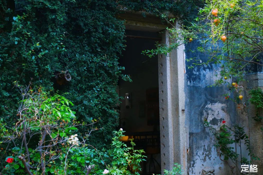 深圳大芬油画村一日游攻略,逛完深圳大芬油画村还能去哪玩