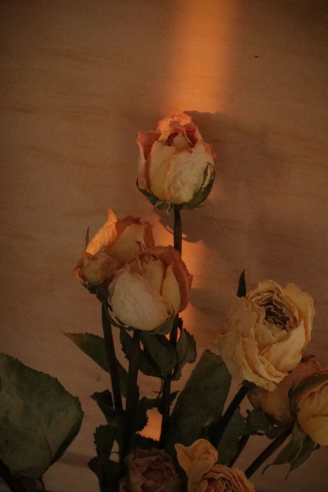 经济下行期影响鲜花生意吗,经济下行艺术行业