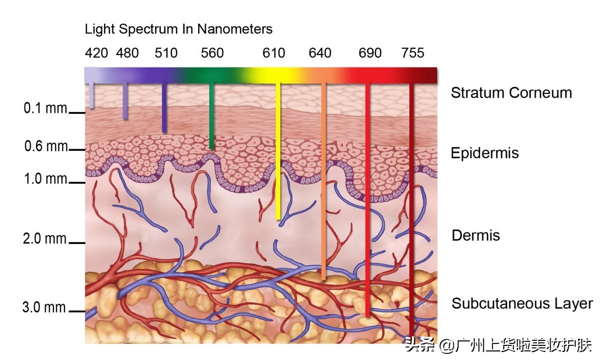 美容微针与滚针的区别在哪,最新技术的微针