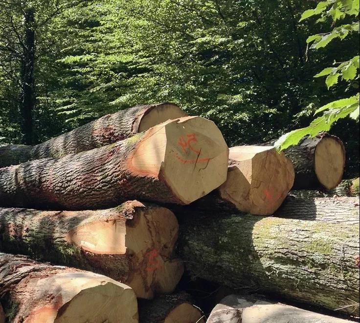 源氏木语一年销售额,源氏木语一个店全年销量