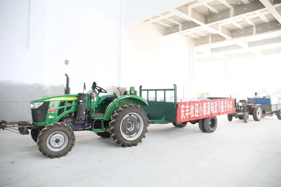 第三届中国农民丰收节汝南,益阳市第三届中国农民丰收节举行