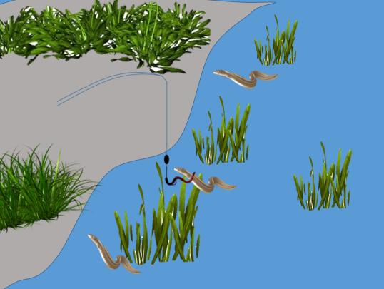 黄鳝钓法详细教程,钓黄鳝的正确钓法