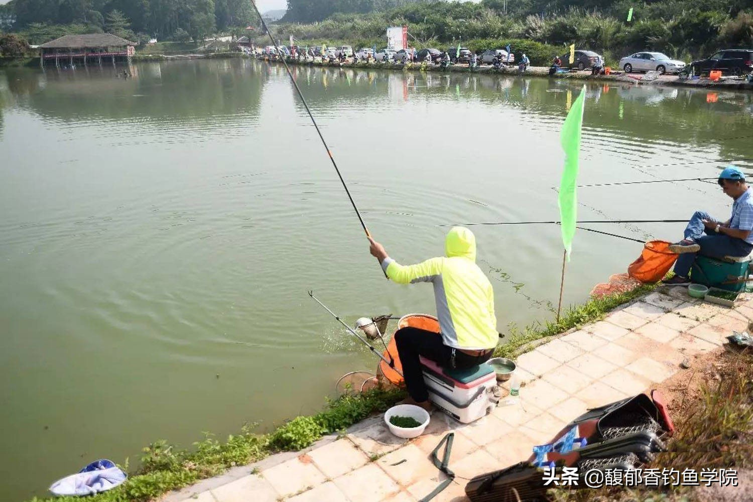 鱼饵各种小药的作用,哪些鱼饵效果好