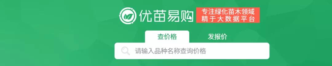 苗木价格查询网站大全免费,优苗苗木