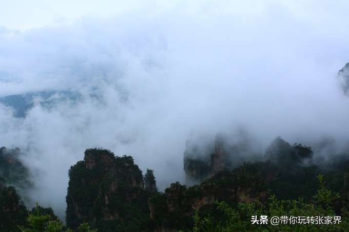 到张家界天门山自助游价格多少钱,武汉到张家界天门山三日游