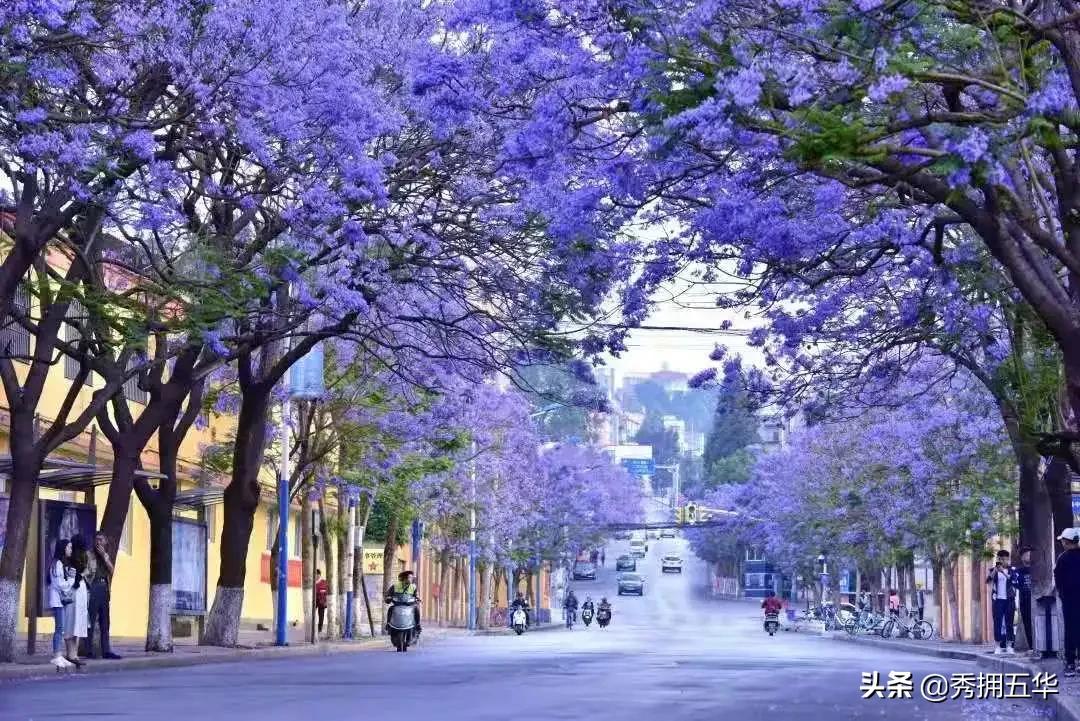 创文工作主要工作及成效,昆明创文工作取得阶段性成效