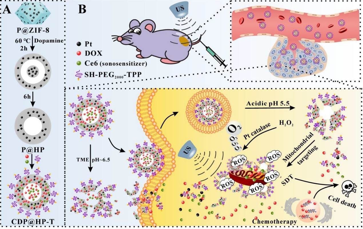 西安医保对恶性肿瘤有什么政策,西安交大攻克癌症