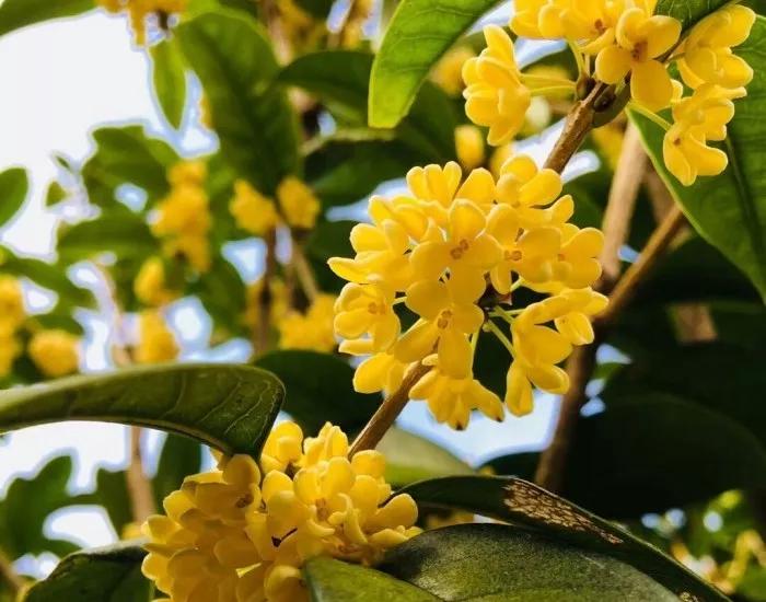 一首经典古诗词书法作品,十三言诗13首书法