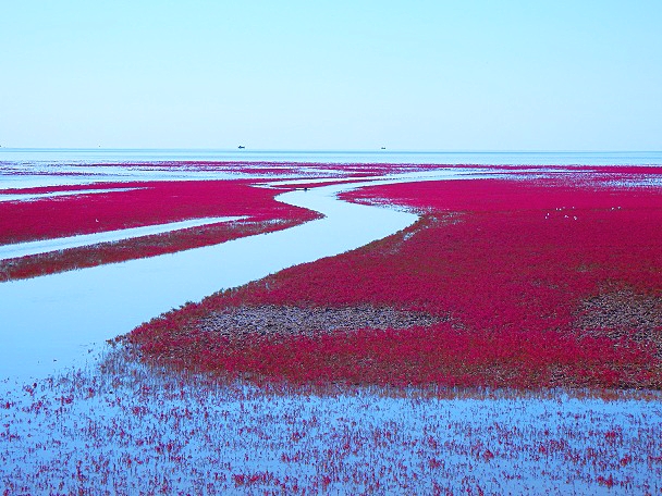 中国红海旅游攻略自由行,中国看大海去哪里旅游