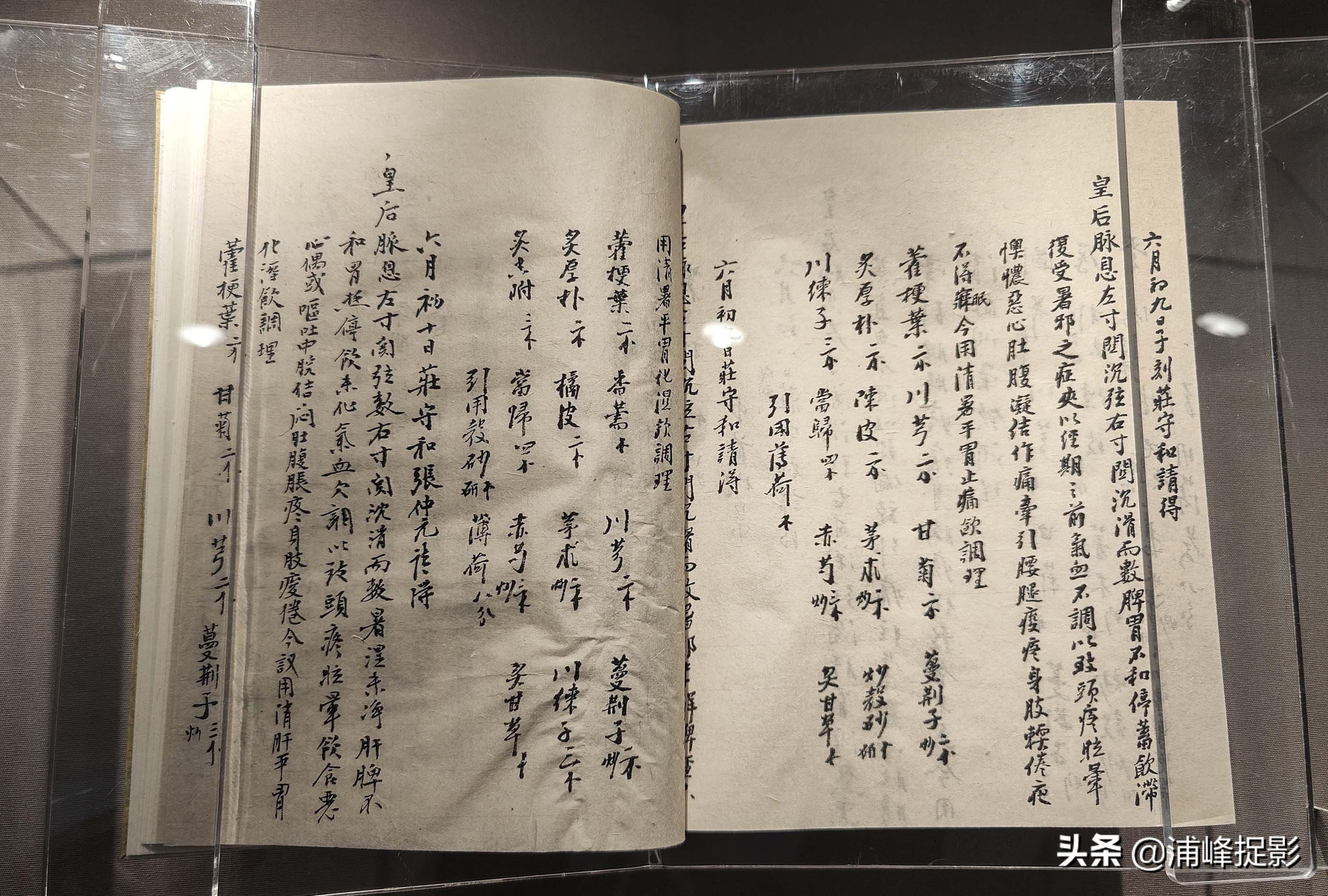 故宫慈禧太后人参健脾丸,故宫清宫医药展览