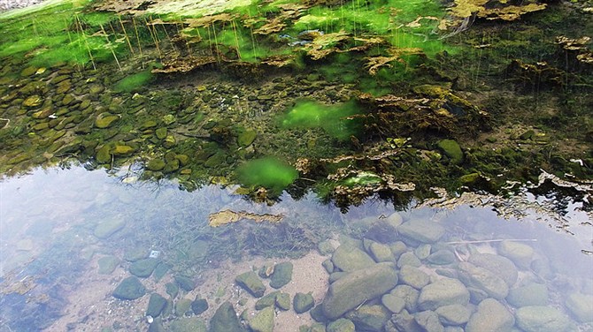 南京竹海宜兴竹海,宜兴华东第一竹海