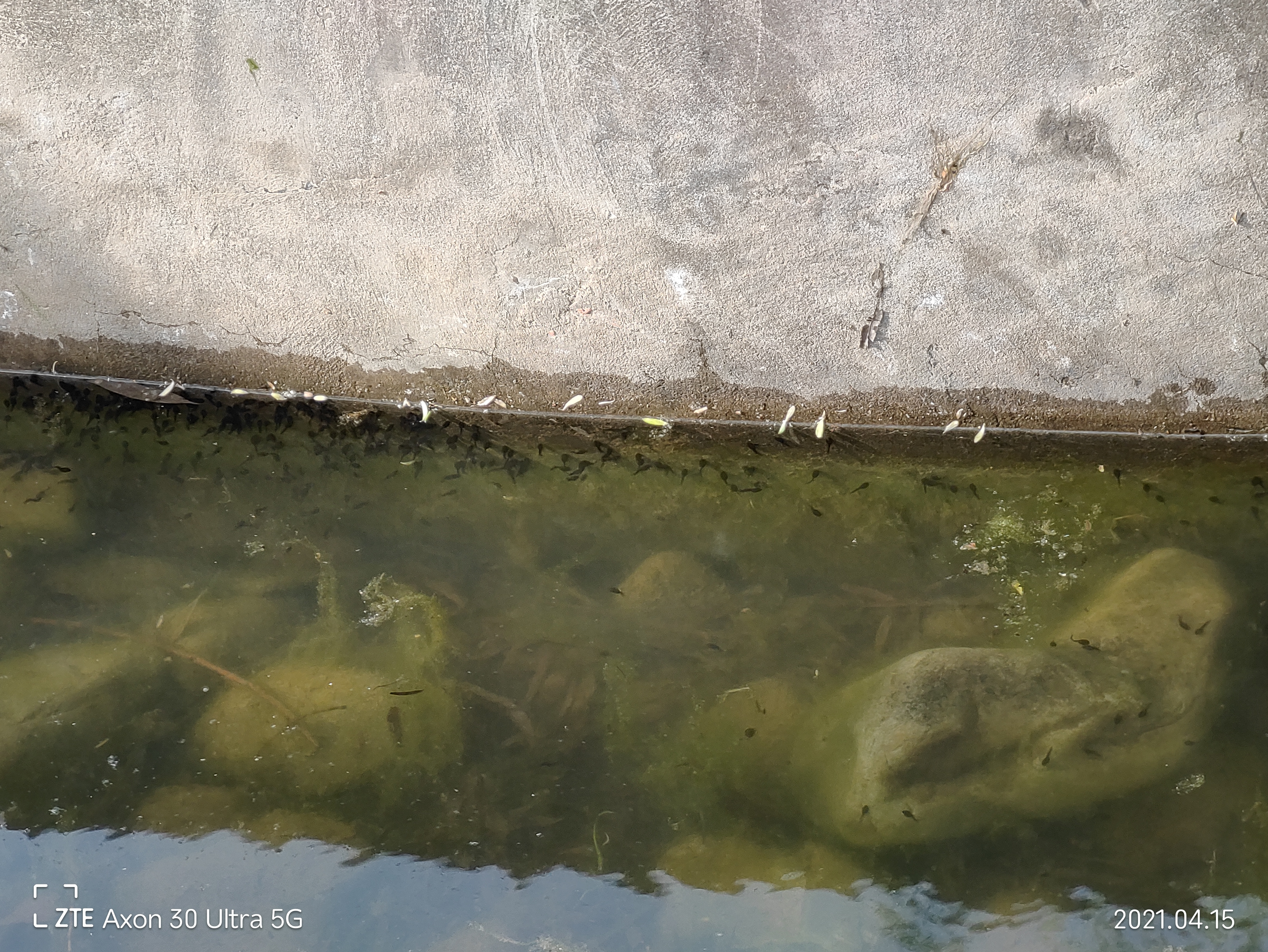 中兴axon30pro测评小白测评,中兴axon30ultra三千新机能入手吗