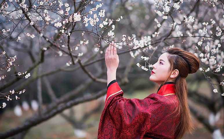 唐诗宋词是怎样描写梅花的,花中四君子描写梅花的诗句大全