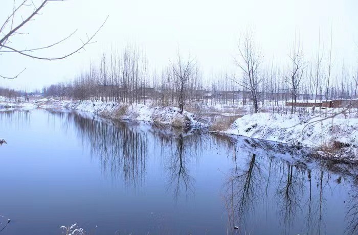 84岁老太跳入冰河救小孩,84岁老太跳冰河救孩子