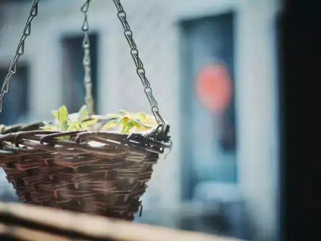 10000块能做点什么,10000块钱能做什么