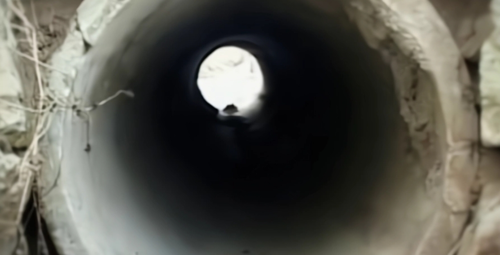 韩国红色指甲油事件,韩国五少年离奇失踪