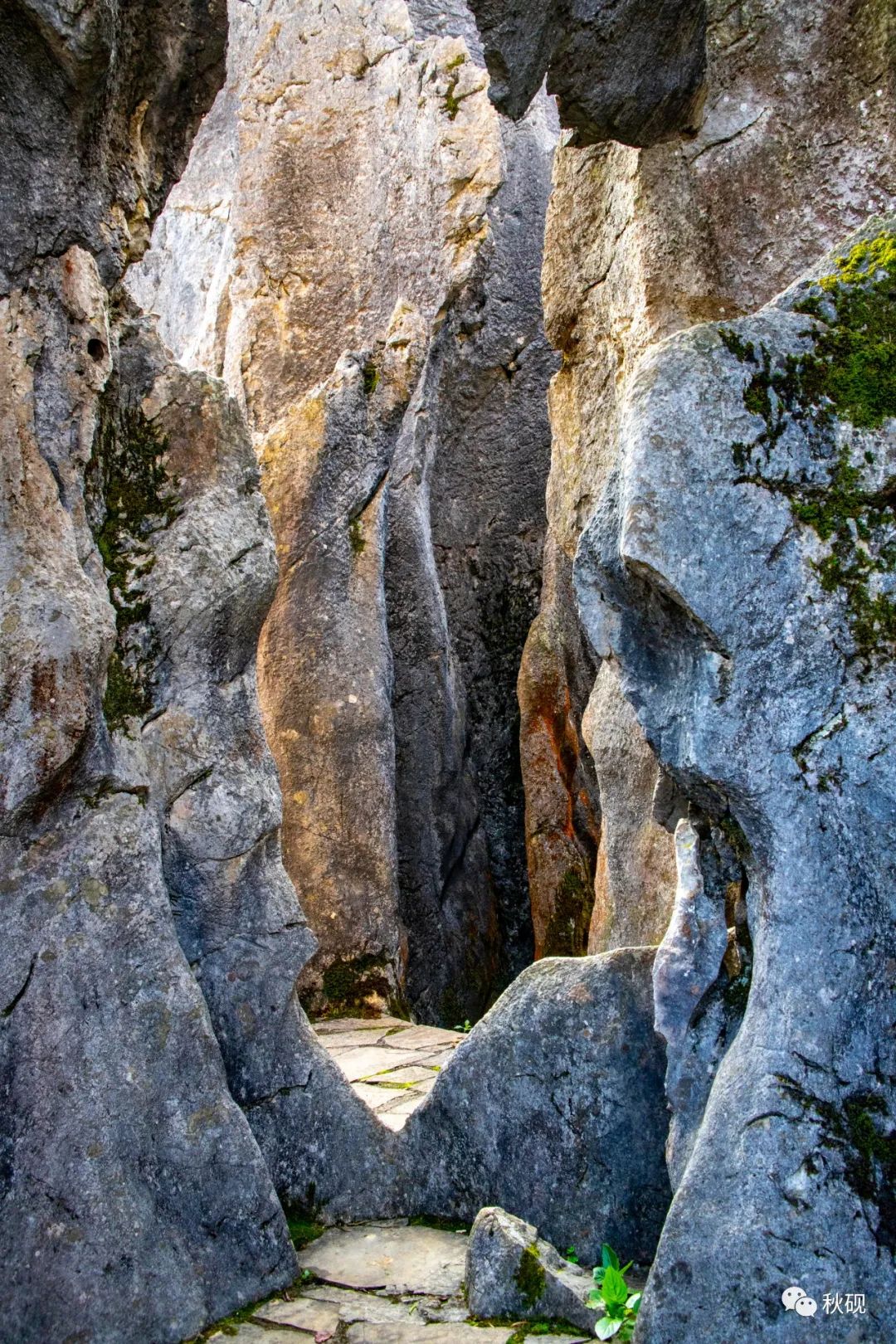周游西南随记（六）弥蒙的万峰林
