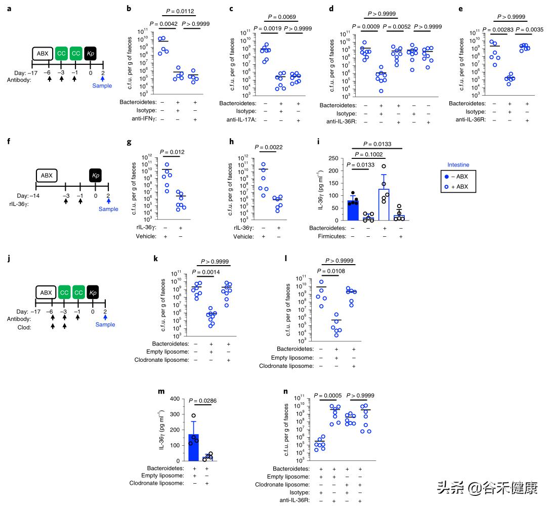 探索微生物奥秘演讲,微生物菌剂探索