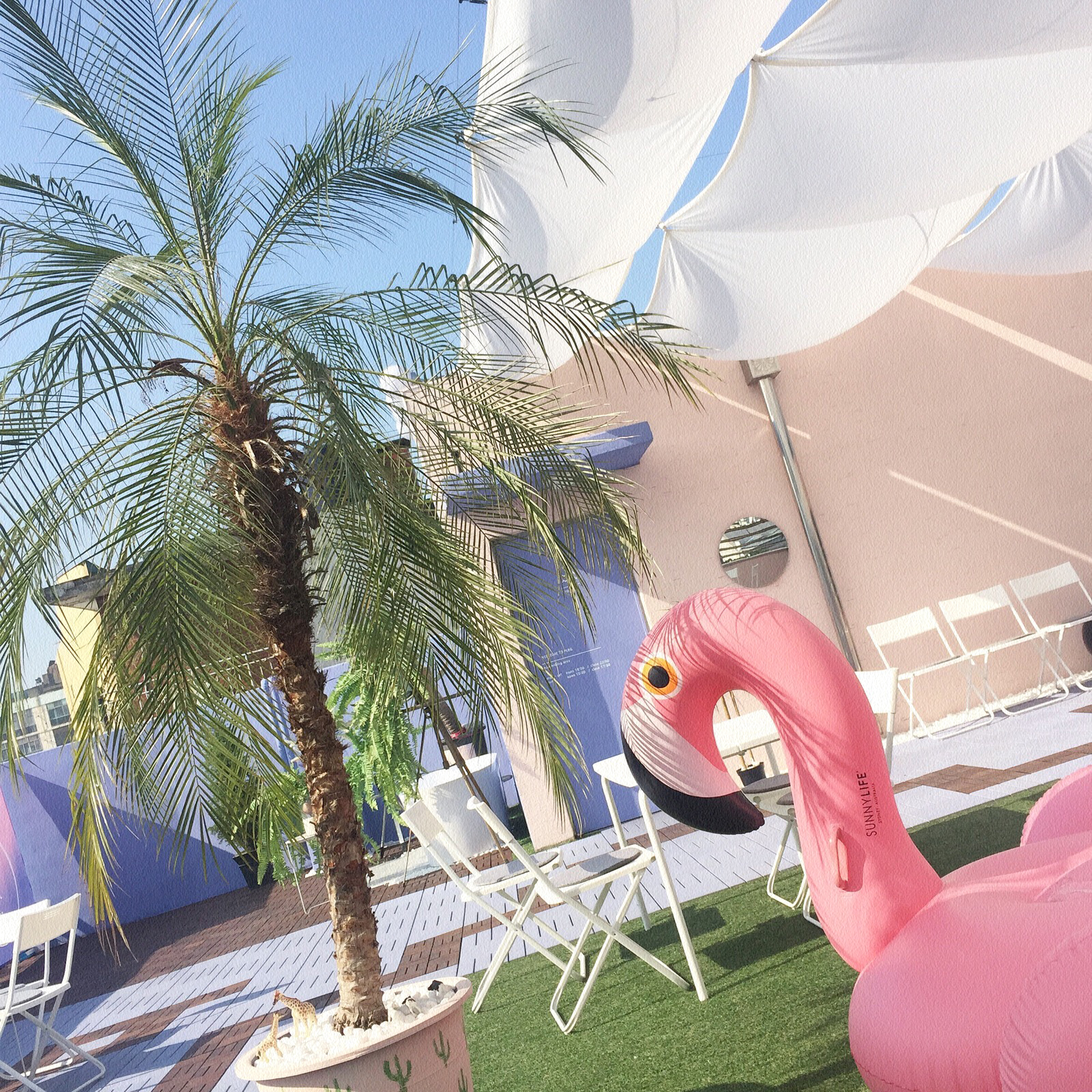 朋友圈相册封面图片搞笑,朋友圈相册封面视频教程