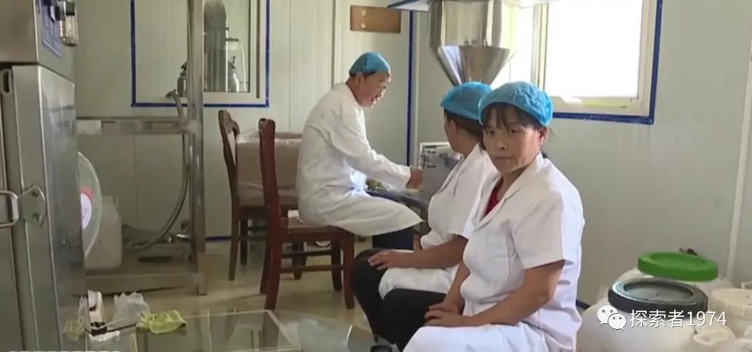 中国这个县“甜蜜事业从业者人数”排第一