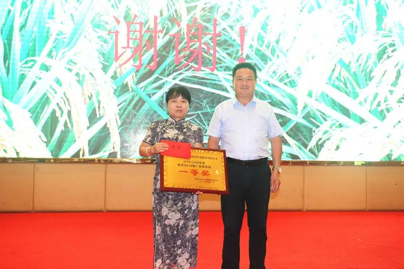 徽两优1577第一名高产稻种,徽两优985稻种简介